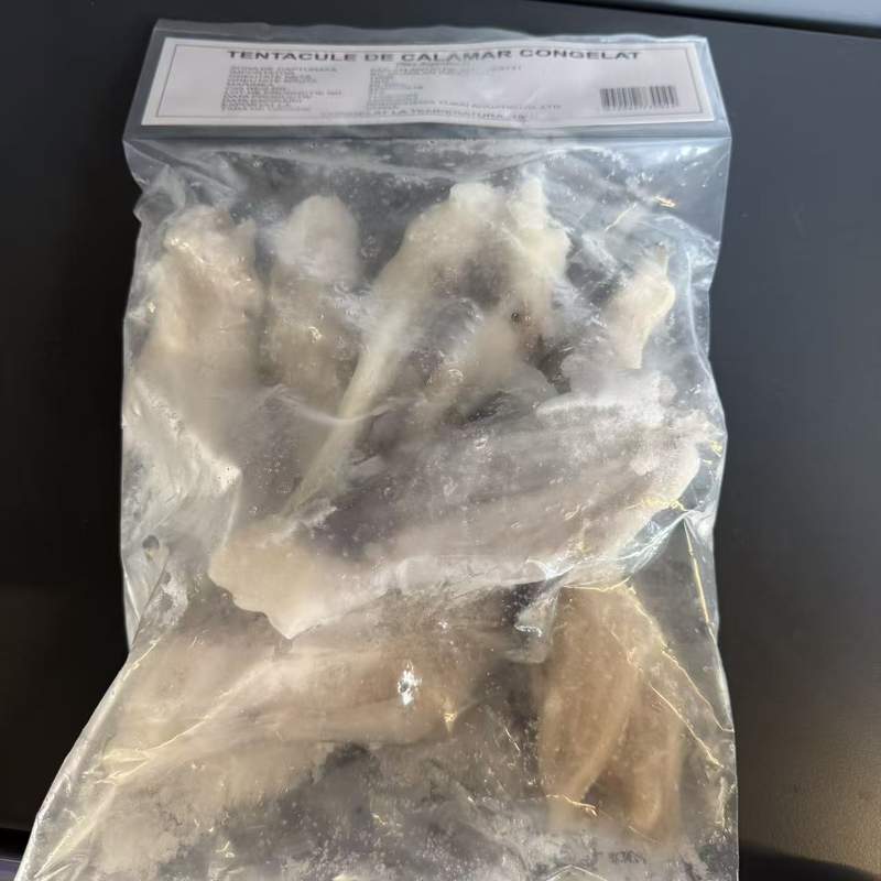 TENTACULE DE CALAMAR CONG BBFAN 1KG