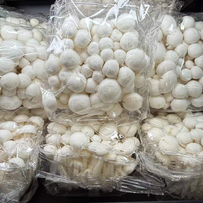 CIUPERCI MINI ALB FRESH 150G